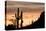 Saguaro Cactus-wollertz-Premier Image Canvas