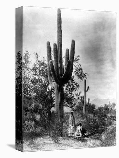 Saguaro Fruit Gatherers-Edward S Curtis-Premier Image Canvas