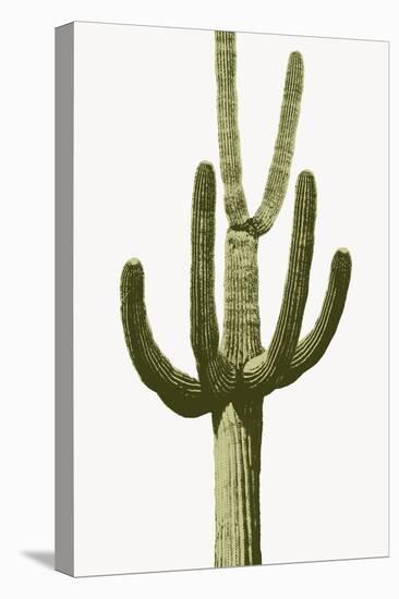 Saguaro III-Mia Jensen-Stretched Canvas