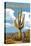 Saguaro National Park, Arizona - Bicycling Scene-Lantern Press-Stretched Canvas