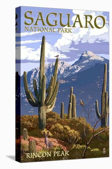 Saguaro National Park, Arizona - Rincon Peak-Lantern Press-Stretched Canvas
