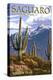 Saguaro National Park, Arizona - Rincon Peak-Lantern Press-Stretched Canvas