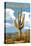 Saguaro National Park, Arizona - Roadrunner and Trail-Lantern Press-Stretched Canvas