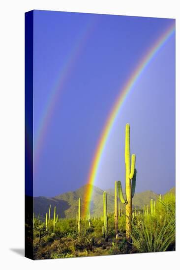 Saguaro Rainbow I-Douglas Taylor-Premier Image Canvas