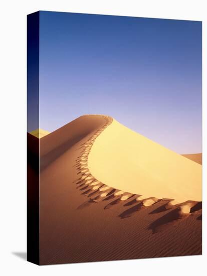 Sahara, Sand Dune, Footprints-Thonig-Premier Image Canvas