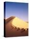 Sahara, Sand Dune, Footprints-Thonig-Premier Image Canvas