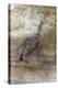 Saharan Rock Painting-null-Premier Image Canvas