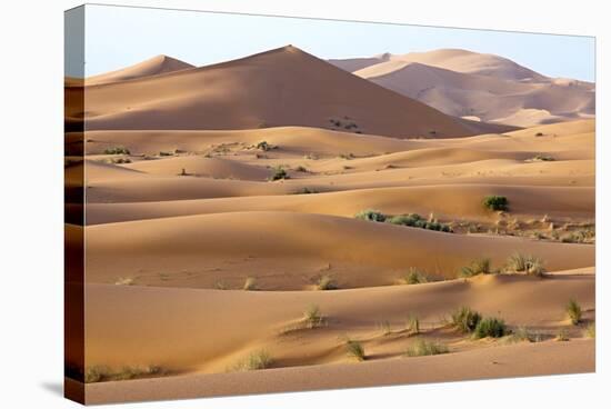 Saharan Sand Dunes-Bob Gibbons-Premier Image Canvas