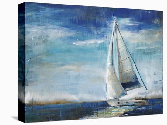 Sail Away-Liz Jardine-Stretched Canvas