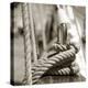 Sail Rope-null-Premier Image Canvas