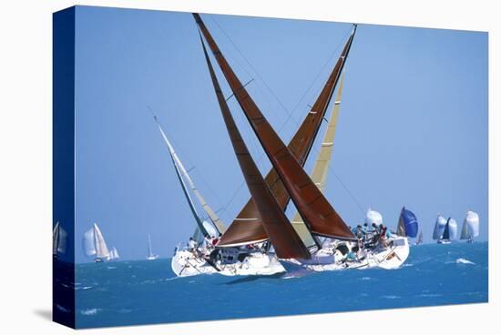 Sailboat Race-null-Stretched Canvas