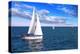 Sailboat Sailing in the Morning with Blue Cloudy Sky-elenathewise-Premier Image Canvas
