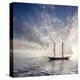 Sailboat Sun And Sky-rolffimages-Stretched Canvas
