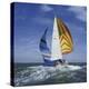 Sailboat-null-Premier Image Canvas