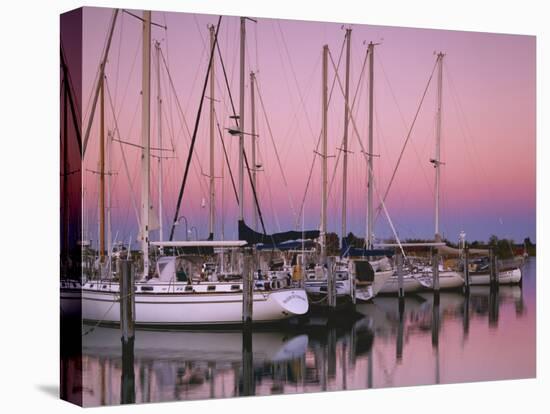 Sailboats at Dusk, Chesapeake Bay, Virginia, USA-Charles Gurche-Premier Image Canvas