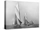Sailboats Sailing Downwind, CA. 1900-1920-Edwin Levick-Stretched Canvas