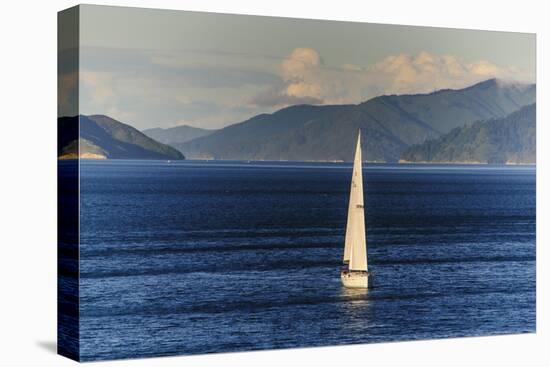 Sailing Boat in the Fjords around Picton, Marlborough Region, South Island, New Zealand, Pacific-Michael Runkel-Premier Image Canvas