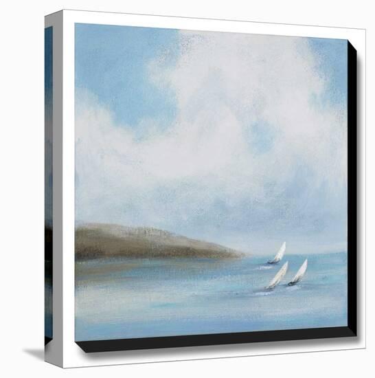 Sailing Day III-Rita Vindedzis-Stretched Canvas