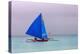 Sailing in the Ocean, Boracay Island, Aklan Province, Philippines-Keren Su-Premier Image Canvas