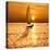 Sailing Off into the Sunset-Adrian Campfield-Premier Image Canvas