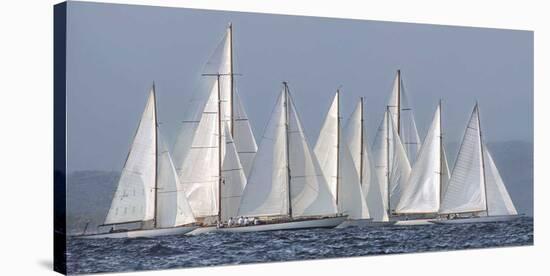 Sailing Team-Xavier Ortega-Stretched Canvas