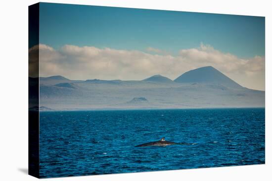 Sailing the Galapagos Islands, Ecuador, South America-Laura Grier-Premier Image Canvas