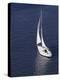 Sailing-null-Premier Image Canvas