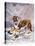 Saint Bernard Finds a Man Trapped in the Snow-A. Scott Rankin-Premier Image Canvas