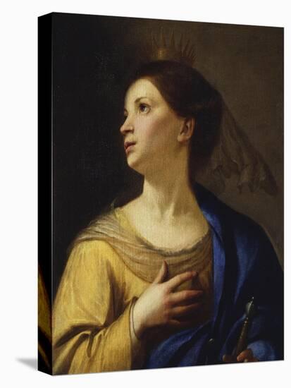 Saint Catherine-Francesco Guarino-Premier Image Canvas