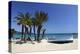 Saint-Clair Beach, Le Lavandou, Var, Provence-Alpes-Cote D'Azur, Provence, France, Europe-Stuart Black-Premier Image Canvas