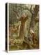 Saint Francis of Assisi, Preaching to the Animals-Hans Stubenrauch-Premier Image Canvas