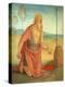 Saint Jerome, C. 1512-Perugino-Premier Image Canvas