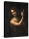 Saint John the Baptist, 1513-1516-Leonardo da Vinci-Premier Image Canvas