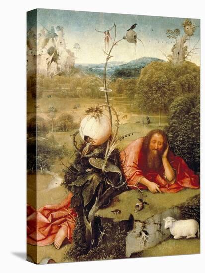 “ Saint John the Baptist Dozed in Nature ” Painting by Hieronymus Van Aeken (Aken) Says Jerome Bosc-Hieronymus Bosch-Premier Image Canvas