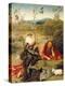 “ Saint John the Baptist Dozed in Nature ” Painting by Hieronymus Van Aeken (Aken) Says Jerome Bosc-Hieronymus Bosch-Premier Image Canvas