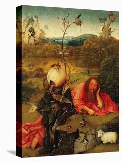 Saint John the Baptist In the Wilderness, Ca. 1489-Hieronymus Bosch-Premier Image Canvas