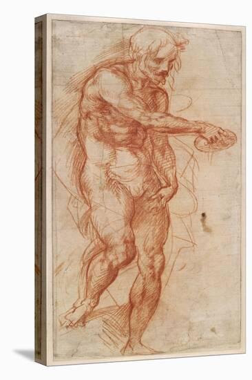 Saint John the Baptist (Stud), Ca 1518-Andrea del Sarto-Premier Image Canvas