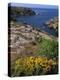 Saint Nicolas and Wild Flowers, Ile De Groix, Brittany, France, Europe-Thouvenin Guy-Premier Image Canvas