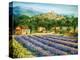 Saint Paul De Vence and Lavender-Marilyn Dunlap-Stretched Canvas