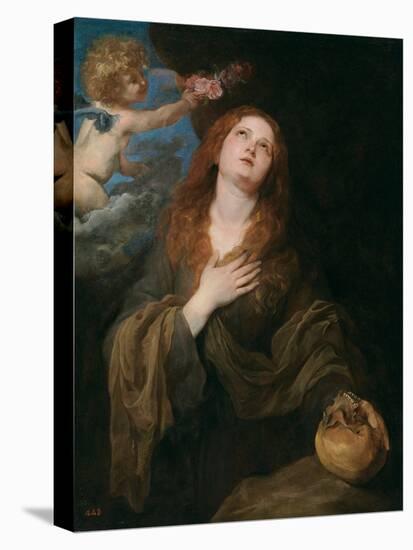 Saint Rosalia-Anthony Van Dyck-Premier Image Canvas