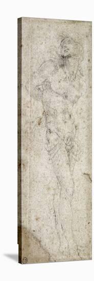 Saint Sébastien-Leonardo da Vinci-Premier Image Canvas