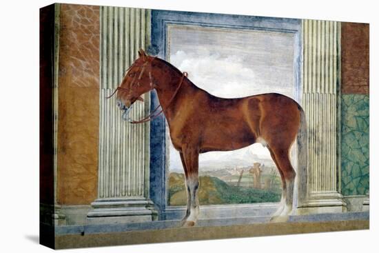 Sala Dei Cavalli, Chestnut Horse from the Stables of Ludovico Gonzaga III of Mantua, 1528-Giulio Romano-Premier Image Canvas