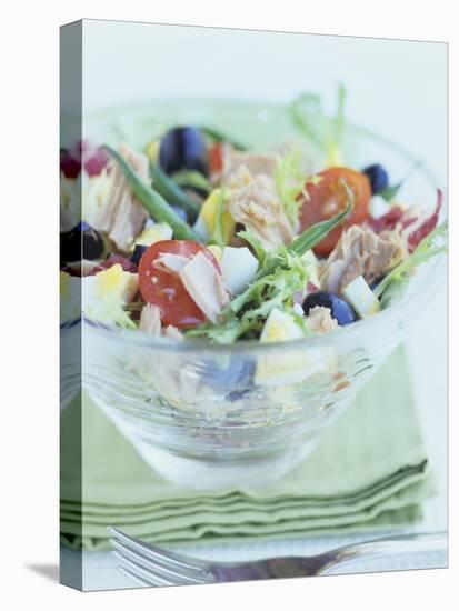 Salade Niçoise-Howard Shooter-Premier Image Canvas