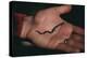 Salamander Resting in the Palm of a Hand-DLILLC-Premier Image Canvas