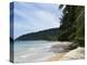 Salang Beach, Pulau Tioman (Tioman Island), Pahang, Malaysia, Southeast Asia, Asia-Jochen Schlenker-Premier Image Canvas