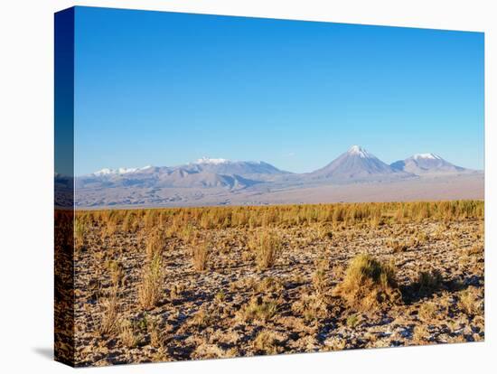 Salar de Atacama, Atacama Desert, Antofagasta Region, Chile, South America-Karol Kozlowski-Premier Image Canvas