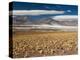 Salar De Talar, Atacama Desert, Chile, South America-Sergio Pitamitz-Premier Image Canvas