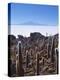 Salar De Uyuni and Cactuses in Isla De Pescado, Bolivia-Massimo Borchi-Premier Image Canvas