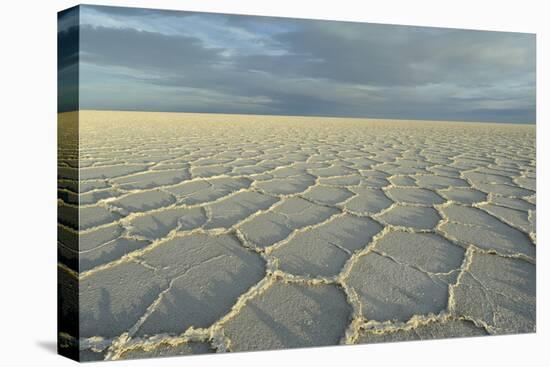 Salar de Uyuni, Bolivia. largest salt flat in world, in Uyuni, Bolivia.-Anthony Asael-Premier Image Canvas
