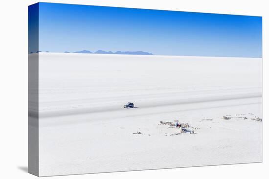 Salar De Uyuni, Bolivia - View from Isla Incahuasi-Elzbieta Sekowska-Premier Image Canvas